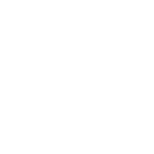 panahealth_squire_white_logo